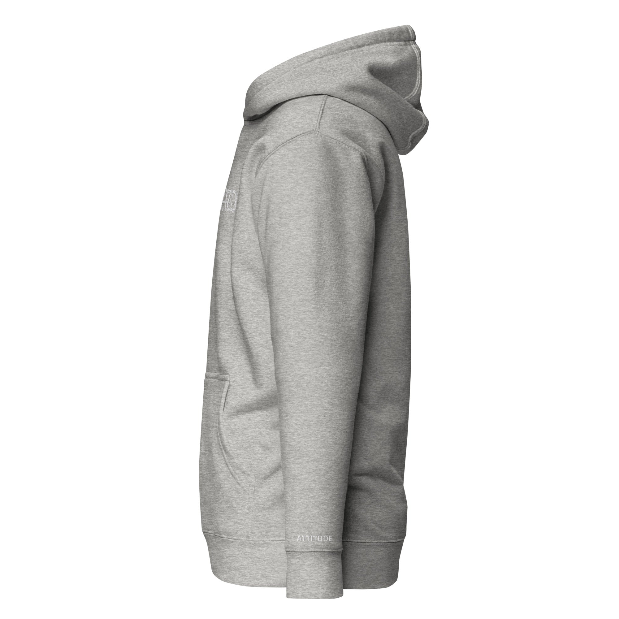 AD Premium Embroider Hoodie